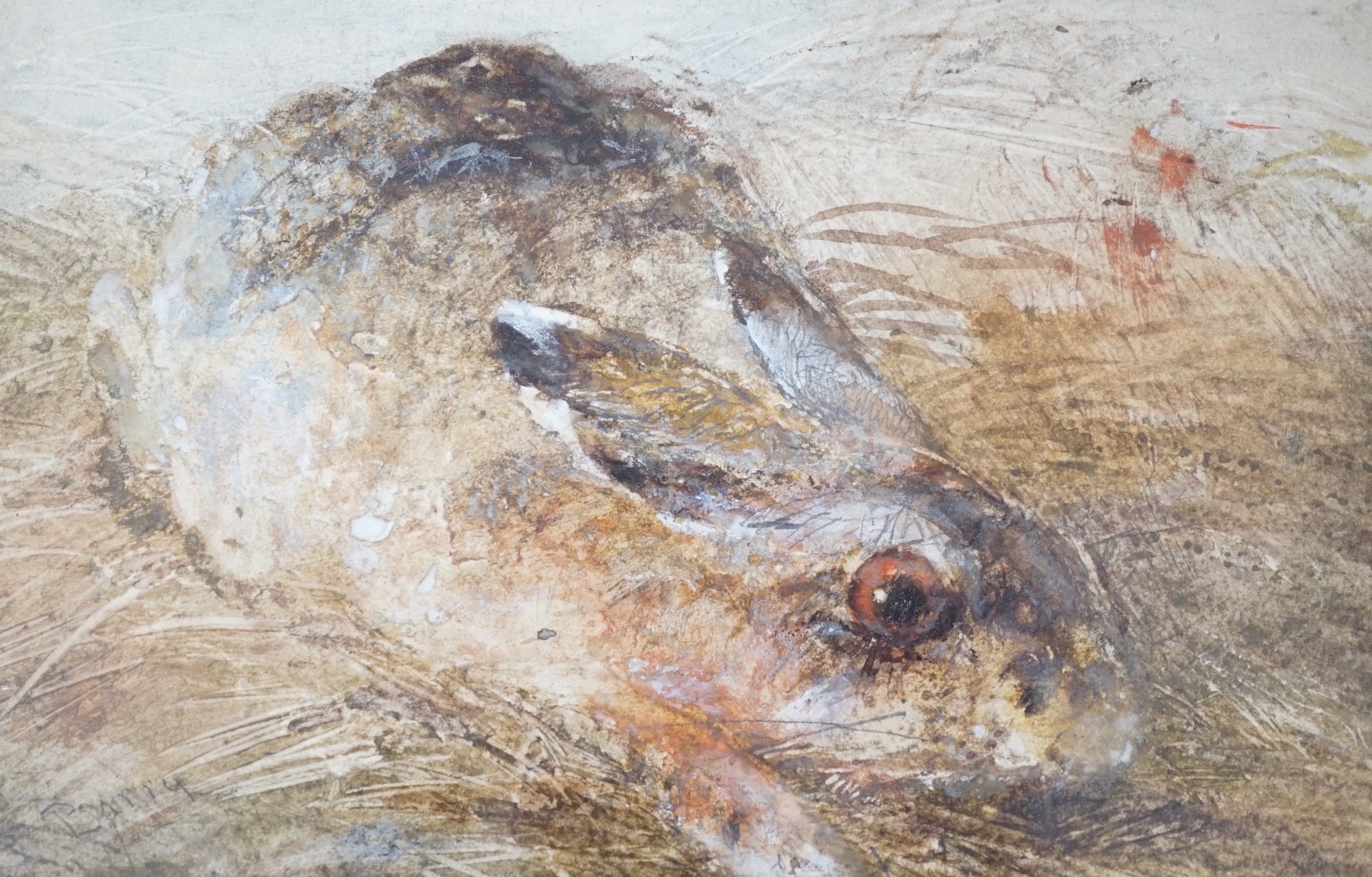 F. Barry, watercolour, Study of a rabbit, signed, 13 x 20cm and a late Victorian coloured engraving of a British Boar